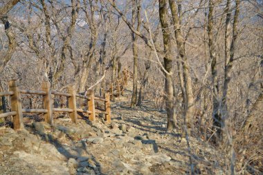 Ulsan Şehri, Güney Kore - 2 Nisan 2025: Gevşek taşlarla kaplı dar bir yürüyüş yolu güvenlik ve destek için kırsal ahşap çitle çevrili Gajisan 'daki yapraksız bir ormanda rüzgarlar esiyor..