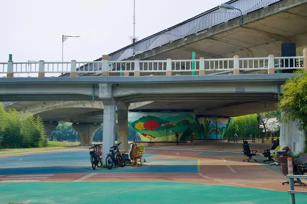 A person admiring a colorful mural in a vibrant Auckland street