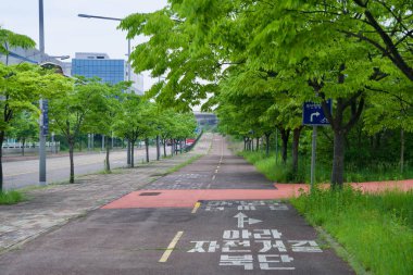 Incheon, Güney Kore - 19 Mayıs 2025: Ara Bisiklet Yolu 'nun gölgeli bir uzantısı bisikletçileri ağaçlık kaldırımları ve boş iş yollarını geçerek, sürücüleri şehrin sanayi bölgesindeki Ara Batı Deniz Kilidi' ne doğru yönlendiriyor..