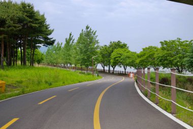 Incheon, Güney Kore - 19 Mayıs 2025: Ara Bisiklet Yolu 'ndaki hafif bir viraj kanalın yanındaki çim tarlaları ve bahar ağaçları arasında uzanır..