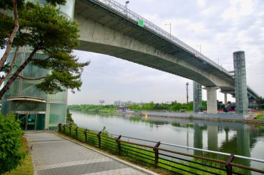 Incheon, Güney Kore - 19 Mayıs 2025: Ara Su Yolu, Gyeyang Köprüsü 'nün geniş beton açıklığının altından akıyor, her iki kıyıdan yükselen cam asansör kuleleri ve aşağıda sakin nehir kenarı yolu ile.