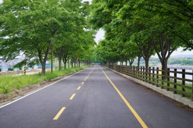 Incheon, Güney Kore - 19 Mayıs 2025: Ara Bisiklet Yolu 'nun düz, gölgeli bir uzantısı, bir tarafında seralar, diğer tarafında ahşap korkulukların arkasında görünen Ara Su Yolu ile kalın bahar yapraklarının altından geçer..