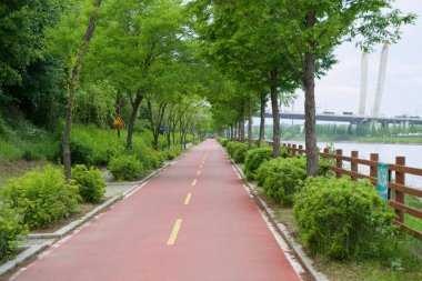 Incheon, Güney Kore - 19 Mayıs 2025: Ara Bisiklet Yolu 'nun barışçıl bir bölümü Ara Su Yolu boyunca yeşil yay yapraklarının altında esiyor ve Sicheon Köprüsü' nün modern asma kuleleri görünüyor..