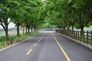 Incheon, Güney Kore - 19 Mayıs 2025: Ara Bisiklet Yolu 'nun sessiz bir ağaç tepeli bölümü Duri Ekoloji Parkı' nın karşısındaki kanalın yanında bir bahar sabahı bisiklet sürücülerini bekliyor.