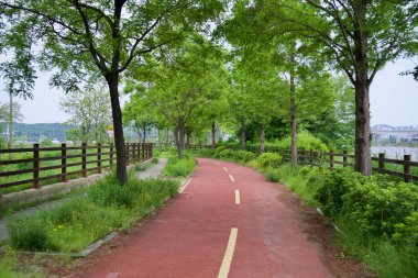 Incheon, Güney Kore - 19 Mayıs 2025: Ara Bisiklet Yolu 'nun kıvrımlı kırmızı asfaltı, verimli bahar ağaçları ve yabani otlar arasında yavaşça kıvrılarak Ara Waterway boyunca manzaralı nehir kenarı bisikleti sunuyor..