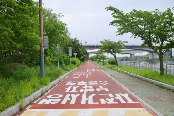 Incheon, Güney Kore - 19 Mayıs 2025: Ara Bisiklet Yolu 'nun kırmızı asfalt bir bölümü, Cheongungyo Köprüsü' nün iki kolunun altında ağaçlar ve nehir kenarındaki yeşillikler arasında yol alıyor..