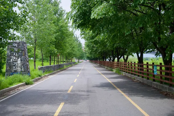 Incheon, Güney Kore - 19 Mayıs 2025: Yapraklı yeşil ağaçların altında uzanan Ara Bisiklet Yolu, kanalı çevreleyen ahşap bir çit ve tarım arazisini çevreleyen taş bir duvar ile taştan bir anıt olarak işaretlenmiştir..