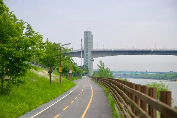 Incheon, Güney Kore - 19 Mayıs 2025: Ara Waterway 'in yanından geçen bisiklet yolu, Gyeyang Köprüsü' nün asansör kulesine doğru uzanıyor ve ağaçlar, çitler ve nehir manzarasıyla kaplı..