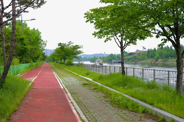 Incheon, Güney Kore - 19 Mayıs 2025: Bir kırmızı asfalt bisiklet yolu Ara Waterway 'i bir devriye botu gibi akıntıya karşı yüzer, bahar yeşilliği ve her iki taraftaki kanal yolunu çevreleyen sessiz ağaçlarla.