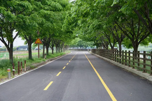 Incheon, Güney Kore - 19 Mayıs 2025: Ara Bisiklet Yolu 'nun sessiz bir ağaç tepeli bölümü Duri Ekoloji Parkı' nın karşısındaki kanalın yanında bir bahar sabahı bisiklet sürücülerini bekliyor.