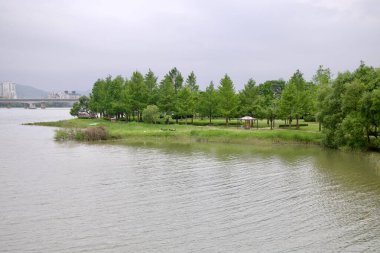Gölgeli bir nehir kenarı bölgesi, ağaçlar ve küçük bir pavyon Namyangju Su Bahçesi 'ndeki Kuzey Han Nehri' nin kıyıları, en yeşil alanlarda sessiz bir geri çekilme öneriyor..