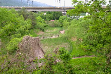 Namyangju City, South Korea - May 19th 2025: A winding wooden boardwalk passes through thick greenery and wetlands near Balgeun Gwangjang, below the elevated tracks of the Gyeongchun Line.