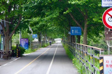 Yangpyeong İlçesi, Güney Kore - 19 Mayıs 2025: Ağaç sıralı bisiklet yolu Bukhangang Demiryolu Köprüsü 'ne çıkıyor, gölge, işaret ve manzaralı Hangang patikası boyunca tuvaletlere erişim sağlıyor..