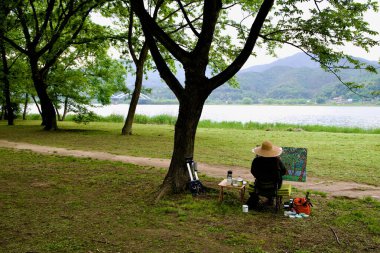 Yangpyeong County, South Korea - May 19th 2025: An artist in a straw hat paints a vibrant canvas under riverside trees at Yangsuri Village, facing Bukhangang and misty mountains.