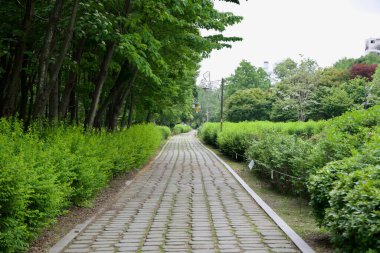 Yangpyeong County, South Korea - May 19th 2025: A quiet stone-paved path winds through dense greenery and trees, offering a peaceful walking or cycling route just outside the town center.