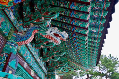 Gangneung Şehri, Güney Kore - 1 Haziran 2025: Dongmyeong Nakgasa 'daki bir tapınak salonunun süslü boyalı saçaklarından renkli bir ejderha oyması ortaya çıktı..