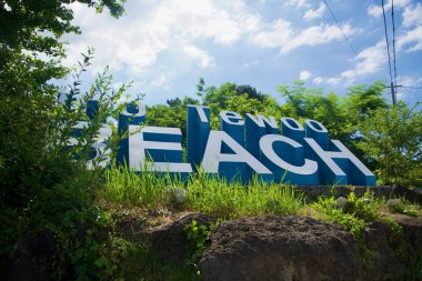 Iho Tewoo Sahili 'ni çevreleyen çimen ve lav kayalarından oluşan bir yerden yükselen yüksek harflerle yazlık mavi gökyüzüne karşı alçak bir açıdan bakıldığında....