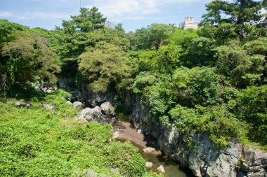 Yongyeon Vadisi 'nin ormanlık vadisi bazalt kayalıkları, dağılmış kayaları ve yoğun yaz yaprakları altında sığ bir dereyi ortaya çıkarıyor..