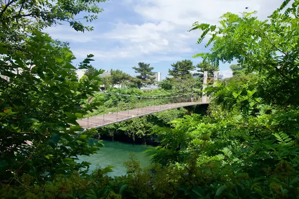Yongyeon Bulut Köprüsü, Yongdam Parkı 'ndaki ağaçlık kıyılar arasında yeşil suyun üzerine uzanır..