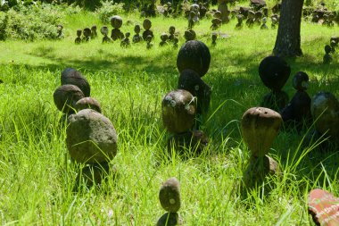 Yuvarlak taş totemler, Hallim Park 'taki parlak çimenli bir açıklıkta dağınık gölgenin altında eğlenceli bir açık hava sanat sahnesi yaratıyor..