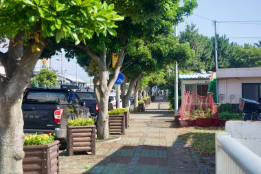 Ağaçlar, Moseulpo 'nun bir bloğunda park etmiş pikapları ve cadde boyunca küçük evleri olan mavi bir bisiklet yolu tabelasıyla kaplı bir kaldırımı gölgeliyor..