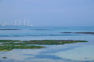 Ortak yaya ve bisiklet yolunu gösteren mavi dairesel bir tabela Haengwon kıyı şeridinin üzerinde duruyor, bir rüzgar türbini ve körfezin karşısındaki sahil kasabası görülebiliyor..