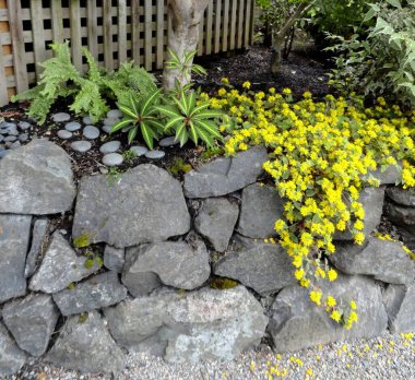 Çiçekli taş duvar