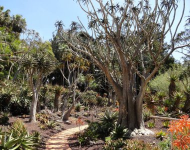 Olağanüstü, sakin, sakin, sakin ve akıl uçuran çiçekleri olan olağanüstü güzel bir çiçek bahçesi..