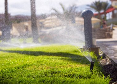 Çim sulama. Otomatik fıskiye sistemi çimleri suluyor.