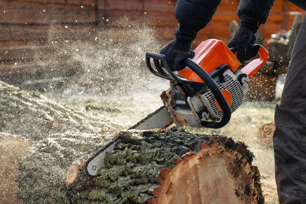 Houtzaagmachine Zagen Boom Met Kettingzaag Zaagsel Vliegt Van Kettingzaag Arborist — Stockfoto