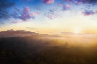 Şafak vakti güzel dağ manzarası vadide sabah sisi, dramatik gökyüzü, sisli orman ve dağ zirveleri. Doğa. Seyahat ve turizm.