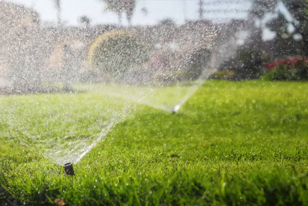 Sproeiers Die Het Groene Gazon Besproeien Automatisch Irrigatiesysteem — Stockfoto
