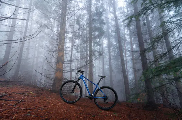 Ποδήλατο Ορεινής Διασταύρωσης Στέκεται Στο Φθινοπωρινό Ομιχλώδες Δάσος Έννοια Υπαίθριας — Φωτογραφία Αρχείου