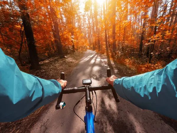 Cyclist on a road bike rides in the autumn forest. First-person view.