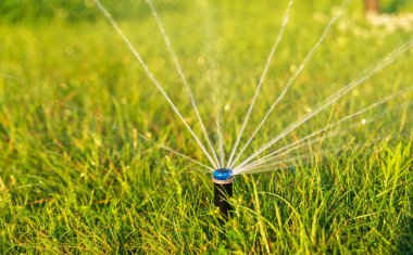 Otomatik fıskiyeler parktaki yeşil çimenleri suluyor. Sulama sistemi.