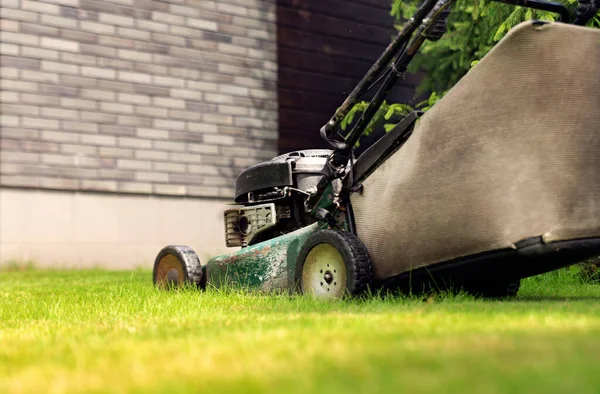 Çim biçme makinesi arka bahçedeki çimlerin üzerinde. Bahçe işleri ve bahçe bakımı.