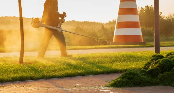 Bahçıvan Sabahın Erken Saatlerinde Çim Biçme Makinesiyle Çimleri Biçer Çim — Stok fotoğraf