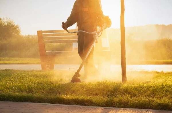 Bir Bahçıvan Sabahın Erken Saatlerinde Çim Biçme Makinesiyle Çimleri Biçer — Stok fotoğraf
