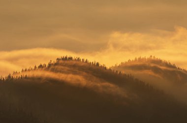 Sisin içindeki dağlar. Güneşin doğuşunda ağaçlarla kaplı sisli dağlarda sihirli sabah manzarası.