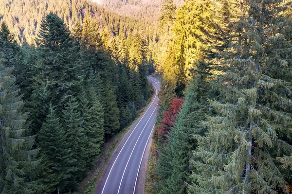 Dağlarda asfalt yolda, yeşil ormanın arasında, havadan bakıldığında..