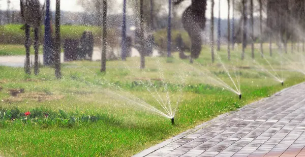 Automatic sprinkler system watering the lawn in the park. Gardening and lawn care concept.