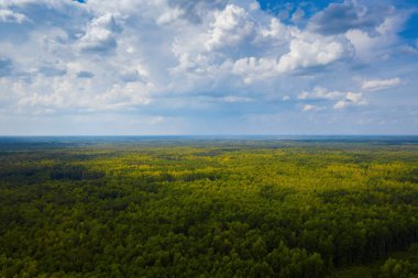 Yumuşak beyaz bulutlu mavi gökyüzüne karşı büyük bir orman. Hava aracı görünümü.