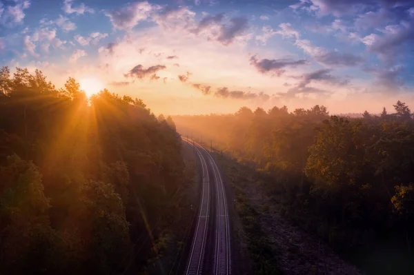 Carretera Ferroviaria Medio Bosque Otoñal Nublado Bajo Sol Amanecer Hermoso —  Fotos de Stock