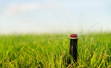 Otomatik fıskiye çimleri suluyor. Sulama sistemi. Bahçe bakımı. Kapat..
