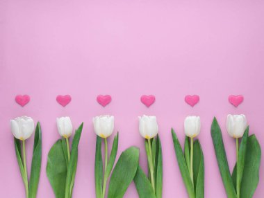 Pembe arka planda kalpleri olan beyaz laleler. Sevgililer günün kutlu olsun..