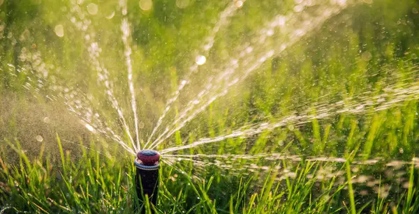 Close-up of irrigation sprinkler system watering the lawn under the rays of sun.
