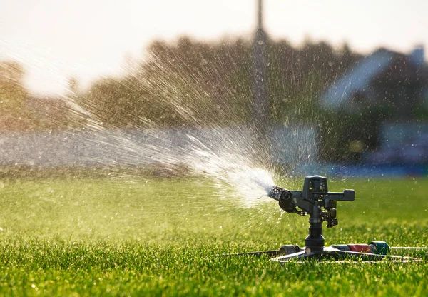 Automatic sprinkler watering in the lawn. Irrigation system