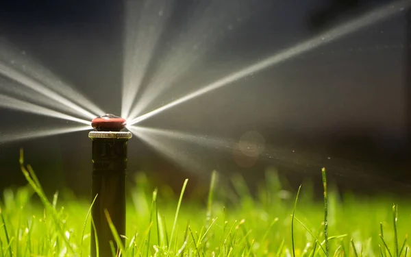 Automatic sprinkler system watering the lawn on dark background. Close-up