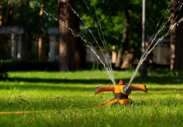 Watering the lawn with an automatic irrigation system in the city park at sunset