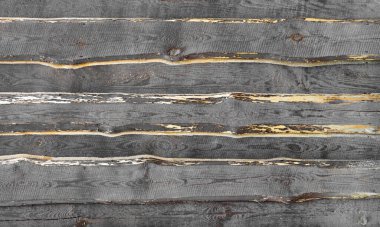 Gri tahtadan yapılmış eski bir çitin dokusu